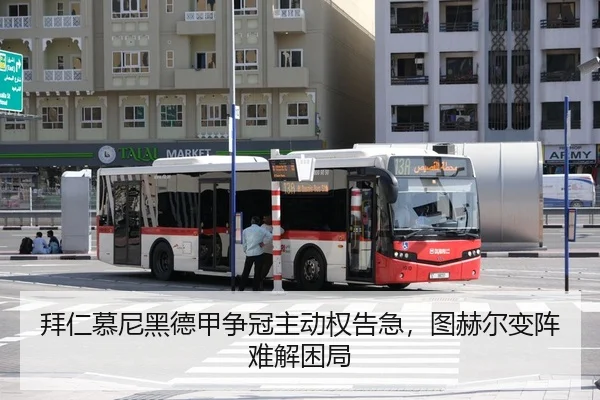 bai-ren-mu-ni-hei-de-jia-zheng-guan-zhu-dong-quan-gao-ji-tu-he-er-bian-zhen-nan-jie-kun-ju-3-271.jpg