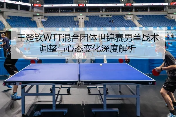 wang-chu-qin-hun-he-tuan-ti-shi-jin-sai-nan-dan-zhan-shu-tiao-zheng-yu-xin-tai-bian-hua-shen-du-jie-xi-2-290.jpg